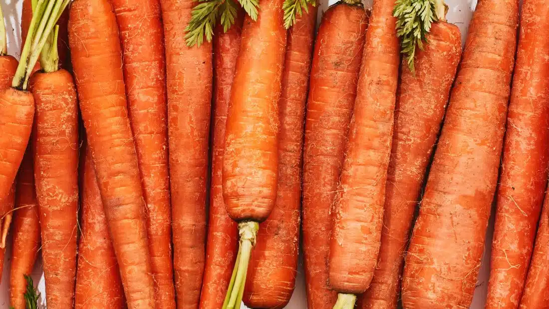 परभणीत गाजर ८०० ते १५०० रुपये प्रतिक्विंटल