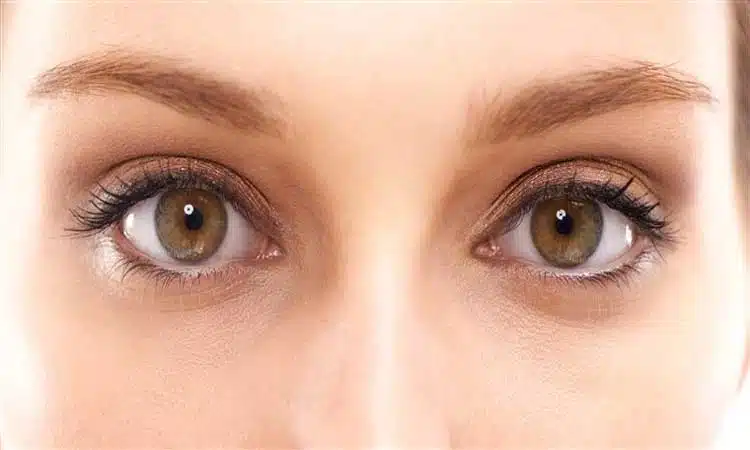डोळ्यांच्या आरोग्यासाठी 'हे' आहेत योग्य आहार, जाणून घ्या डोळे
