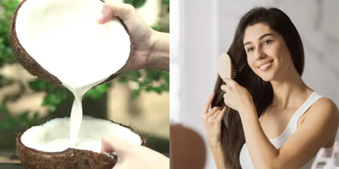 Coconut Milk | केसांची काळजी घेण्यासाठी कोकोनट मिल्कचा 'या' पद्धतीने करा वापर