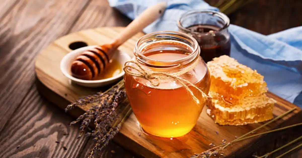 Honey Benefits | रोजच्या आहारात करा मधाचा समावेश, मिळतील 'हे' आरोग्यदायी फायदे