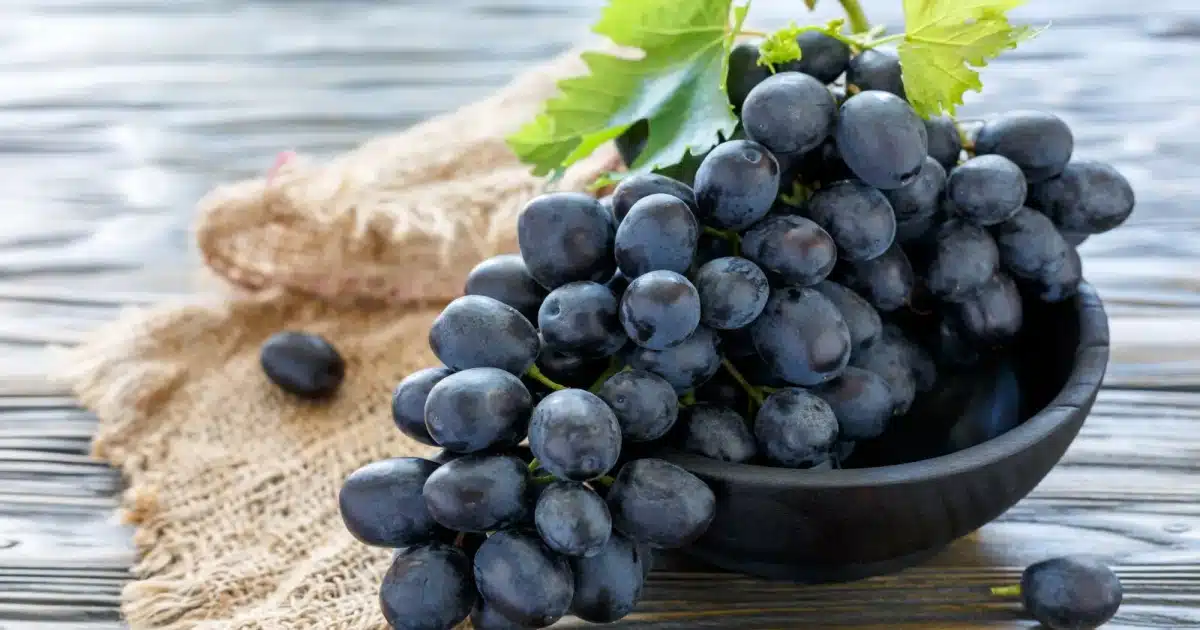 Black Grapes Benefits | काळी द्राक्ष खाल्याने मिळतात 'हे' आरोग्यदायी फायदे